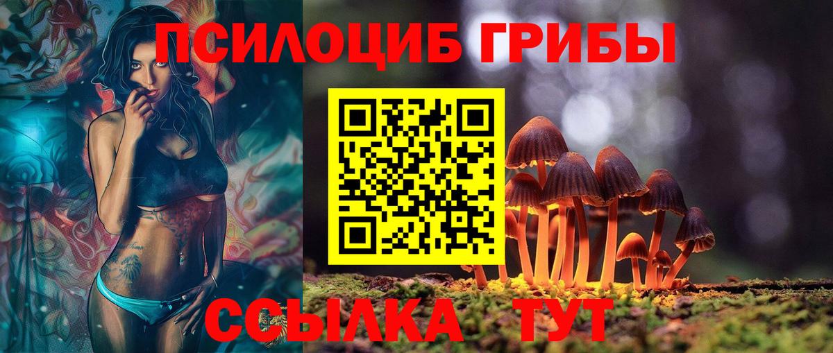Якутск  Псилоцибиновые грибы мухоморы  Вход с VPN 